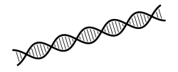 logo adn 2
